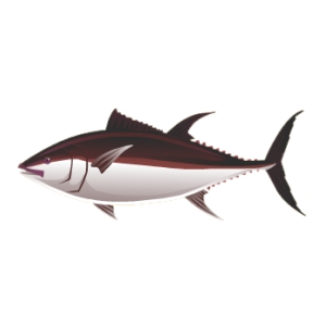 Burgundy Tuna